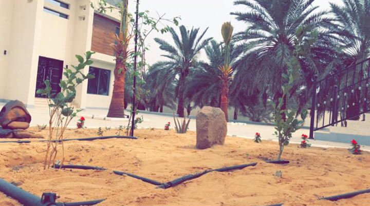 فله داخل بستان ببريده البصر