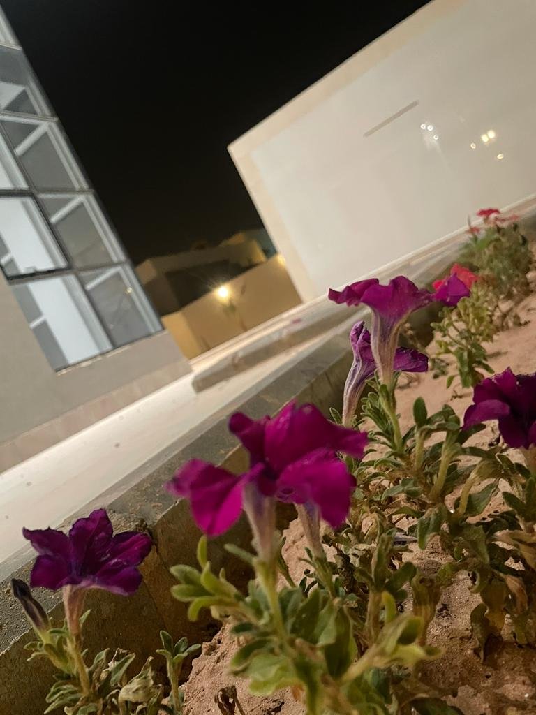 للبيع فله مودرن نظام درج داخلي البدائع حي القدس