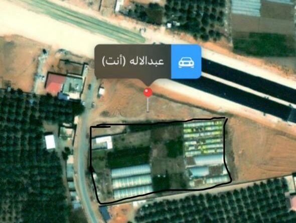 مزرعه بعنيزه مساحته 10 الاف