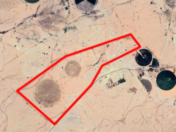 للبيع مزرعة بالقصيم جنوب المذنب ( المربع )